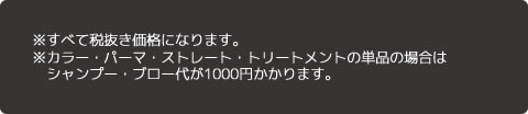 ※すべて税抜き価格になります。※カラー・パーマ・ストレート・トリートメントの単品の場合はシャンプー・ブロー代が1000円かかります。